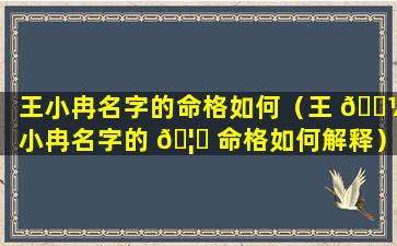 王小冉名字的命格如何（王 🌼 小冉名字的 🦁 命格如何解释）